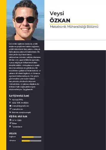 Mekatronik Mühendisliği Cv Örnekleri cv indir